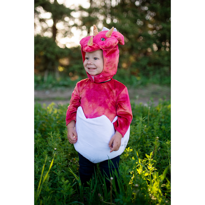 Baby Triceratops in Egg Costume (12/24M)