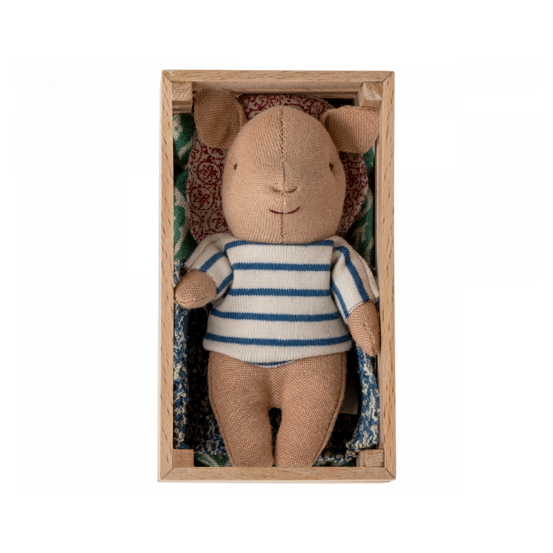 Baby Boy Pig in a Box