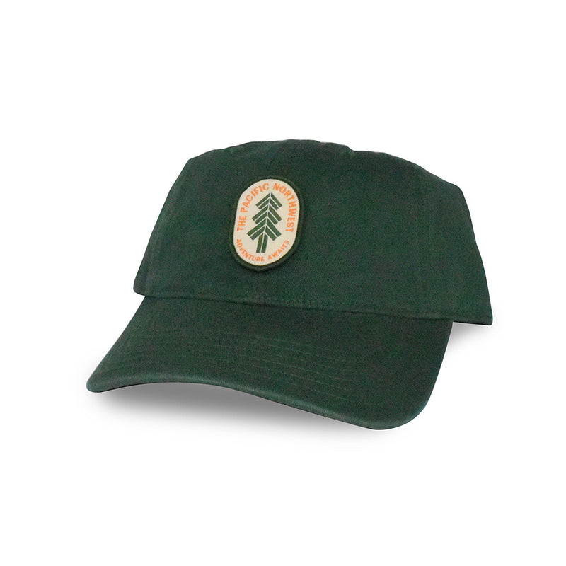 Spruce Dad Hat- Forest Green