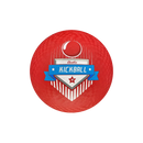Heavy Duty Kickball 10"