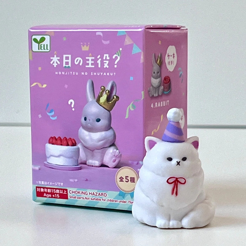 Birthday Animal Mystery Box