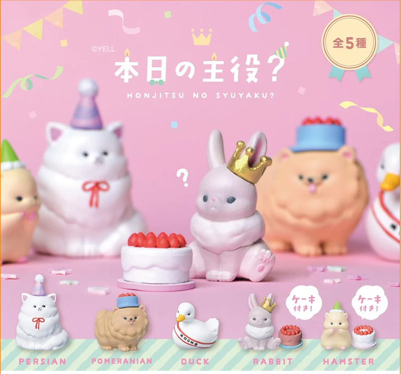 Birthday Animal Mystery Box