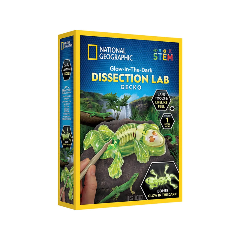 National Geographic GITD Gecko Dissection Lab