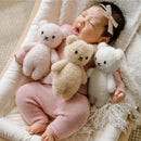 Boucle Baby Bears