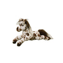 Duke Appaloosa Horse