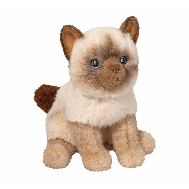 Fu Siamese Cat