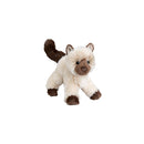 Hilda Himalayan Cat