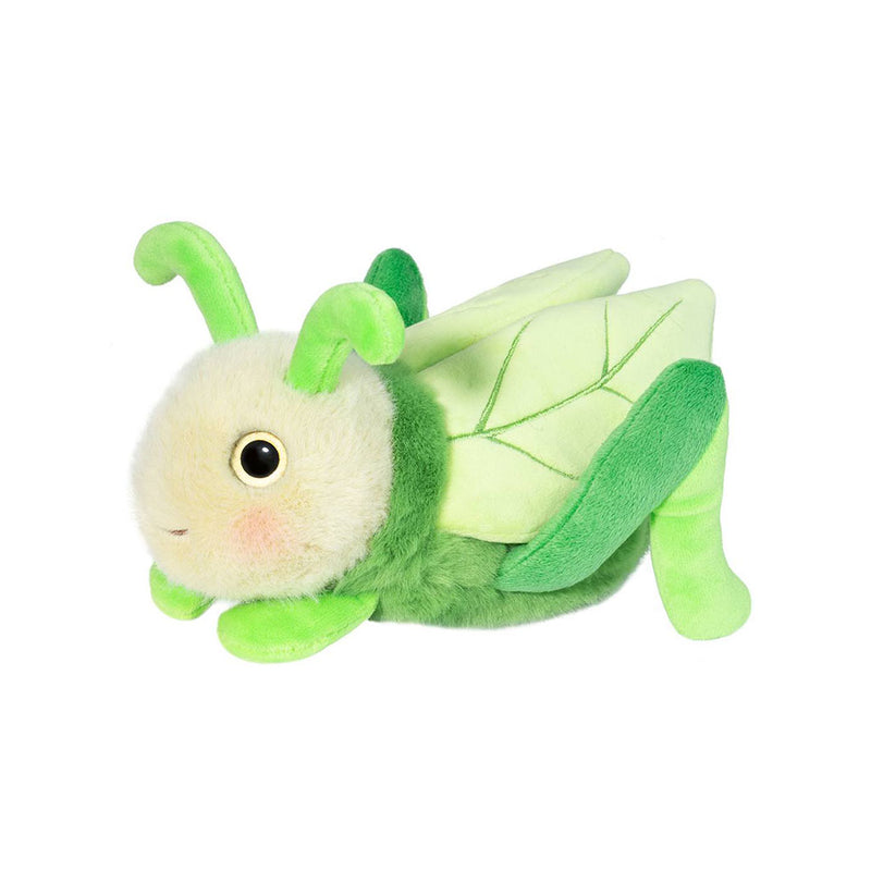 Kady Grasshopper