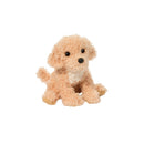 Noodle Golden Doodle