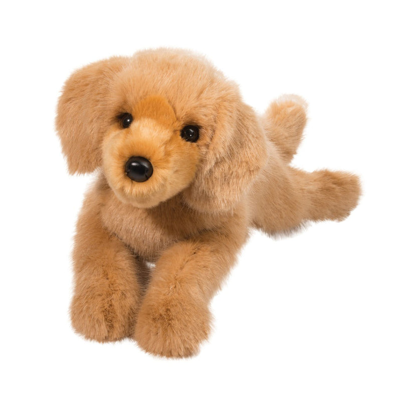 Oakley DLux Golden Retriever