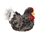 Pepper Multi Black Hen