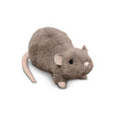 Ralph Rat