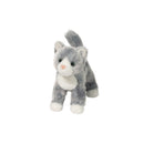 Scatter Grey Cat