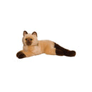 Sebastian Himalayan Cat