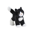 Snippy Black & White Cat