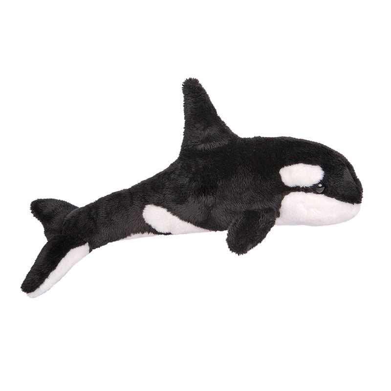 Spout Orca Whale
