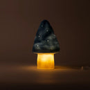 Small Mushroom Lamp- Jeans