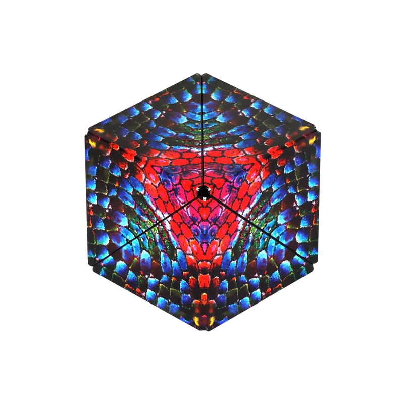 Shashibo- Jumbie Series Chameleon