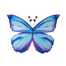 Soft Wings with Mask