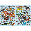 Lots and Lots of Animals
