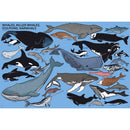 Lots and Lots of Animals