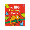 My Big Coloring Book