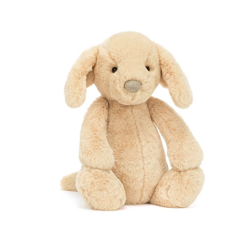 Bashful Puppy Orlando- Medium
