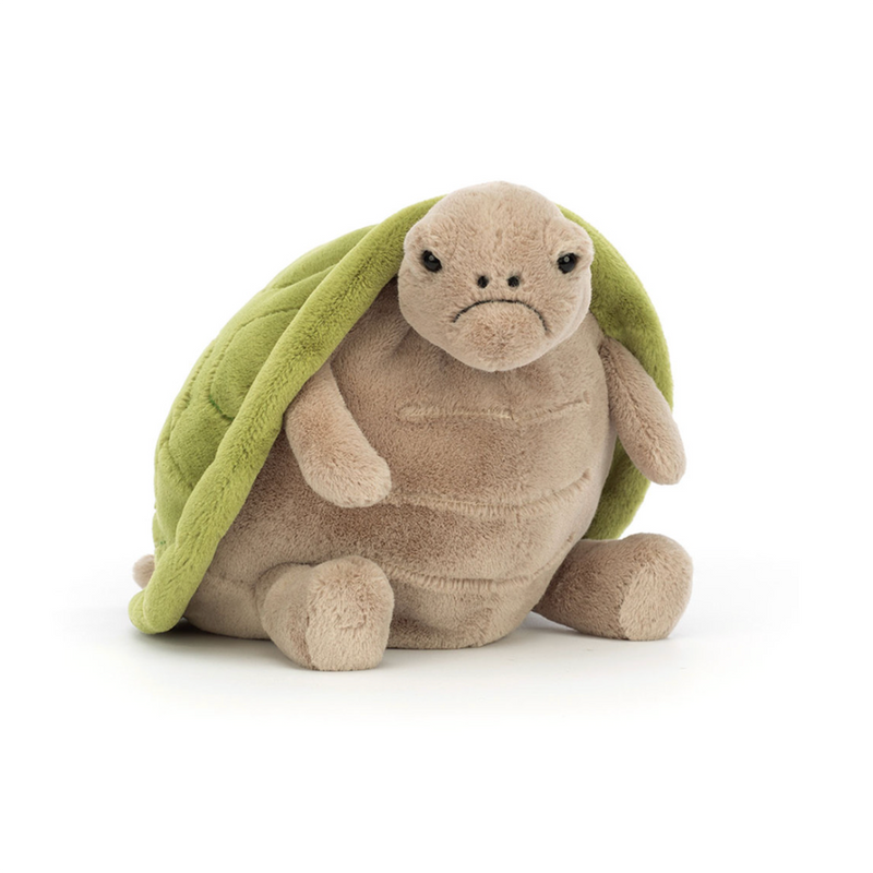 Timmy Turtle