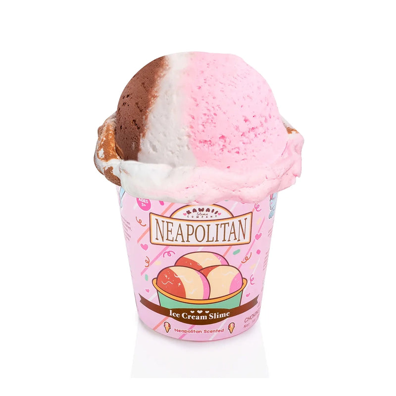 Ice Cream Pint Slime 11 oz- Neapolitan