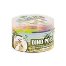 Dinosaur Pops Set of 12