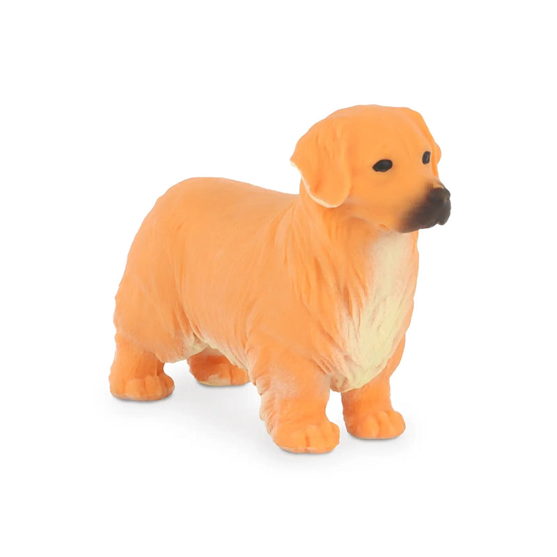 Stretchy Golden Retriever