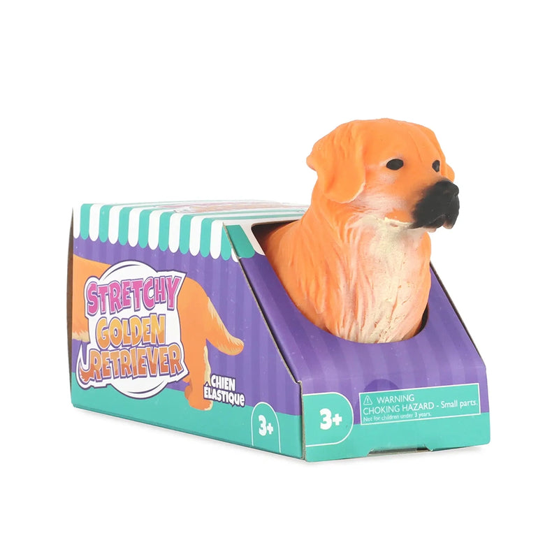 Stretchy Golden Retriever