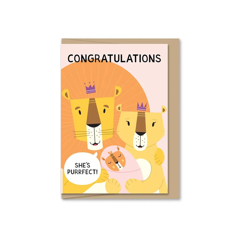 Baby/Congrats Mini Enclosure Cards