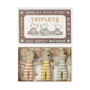 Triplets Baby Mice in Matchbox (2024)