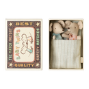 Twins Baby Mice in Matchbox (2024)