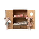 Ballet Mice in Dance Studio