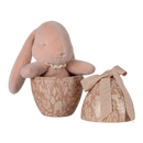 Easter Egg with Bunny- Powder