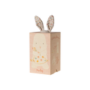 Lullaby Friends- Nature Bunny