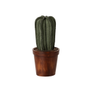 Miniature Flower Pot with Cactus