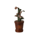 Miniature Flower Pot with Plant