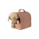 Small Pet Carrier- Coral