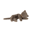 Sleeping Kitten Plush- Grey