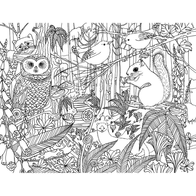 Pacific Northwest Nature Coloring