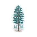Pine Tree Postcard