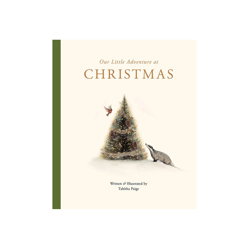 Our Little Adventure at Christmas