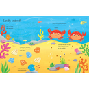 Wipe-Clean Under the Sea