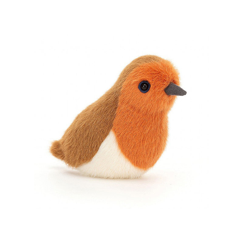 Birdling Robin