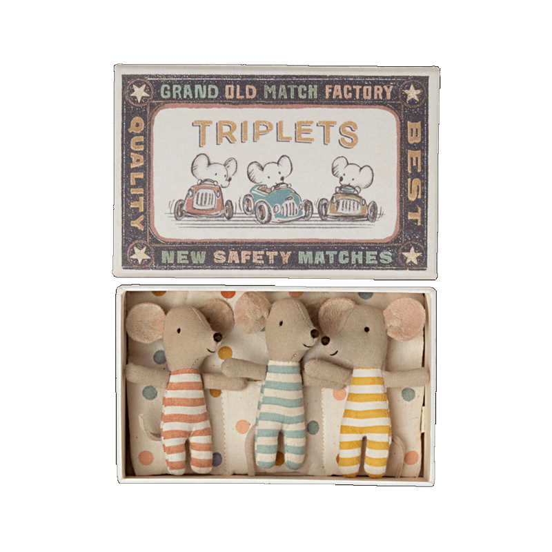 Triplets Baby Mice in Matchbox (2022)
