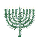 Mini Enclosure Card- Botanical Menorah